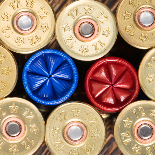 what is shotshell ammo